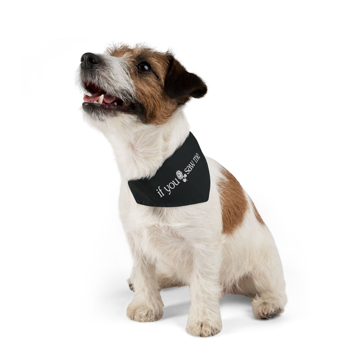 Core Bandana Collar