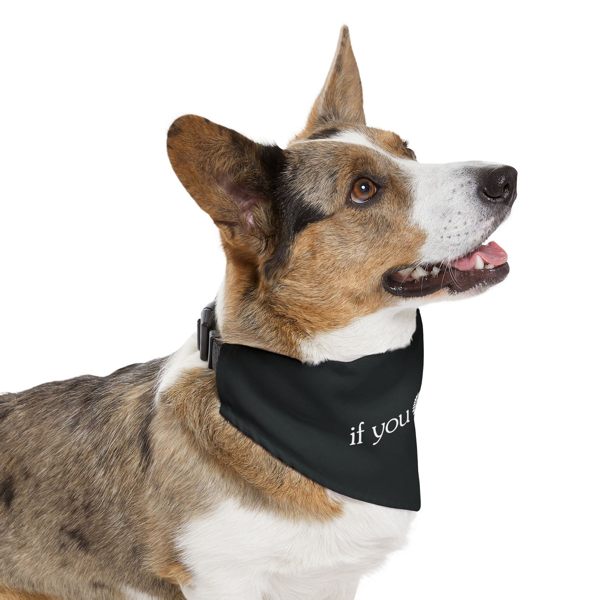 Core Bandana Collar