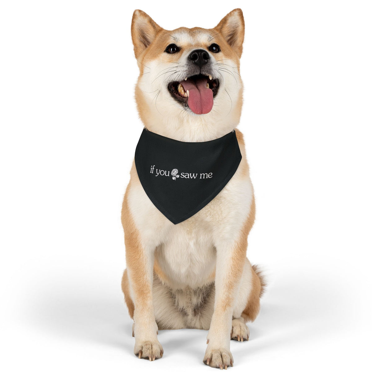 Core Bandana Collar